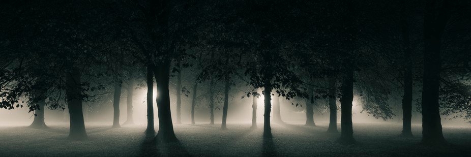 ale_wolf7's profile banner image