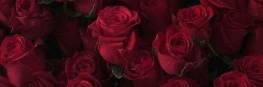 Julissa Estrada banner