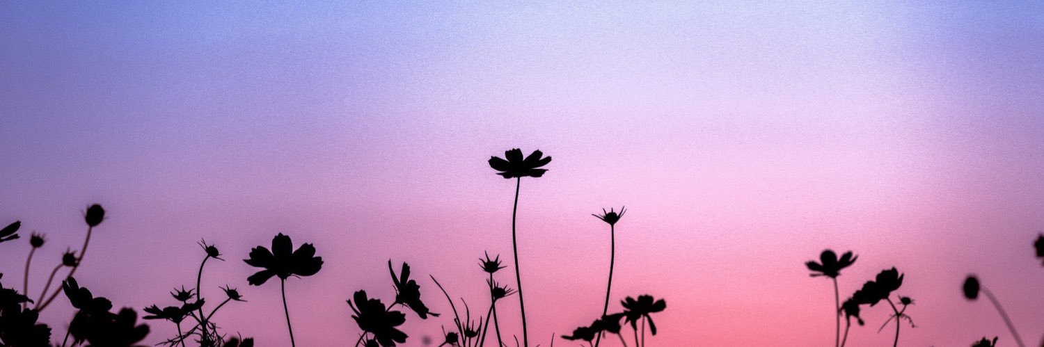 M banner
