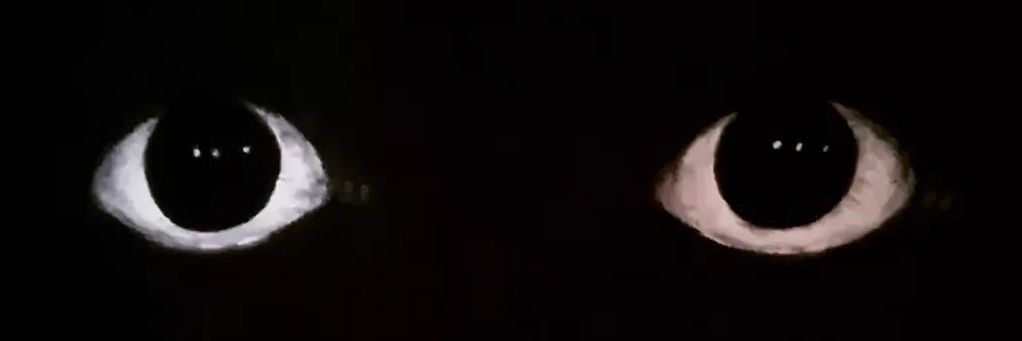 GothWithACurse's profile banner image