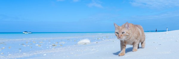 tetsurochan Profile Banner