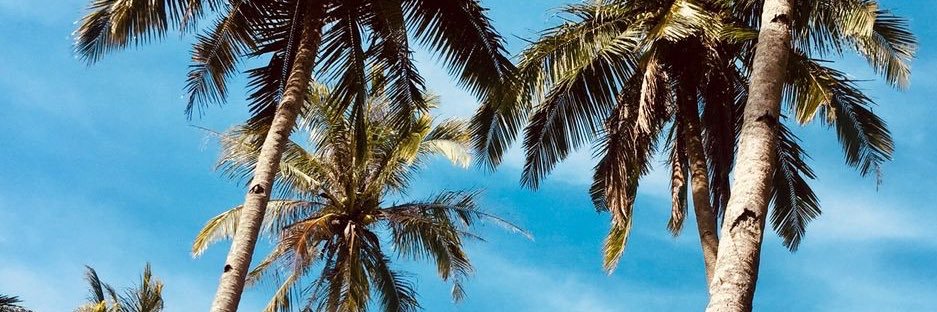 _aimdog's profile banner image