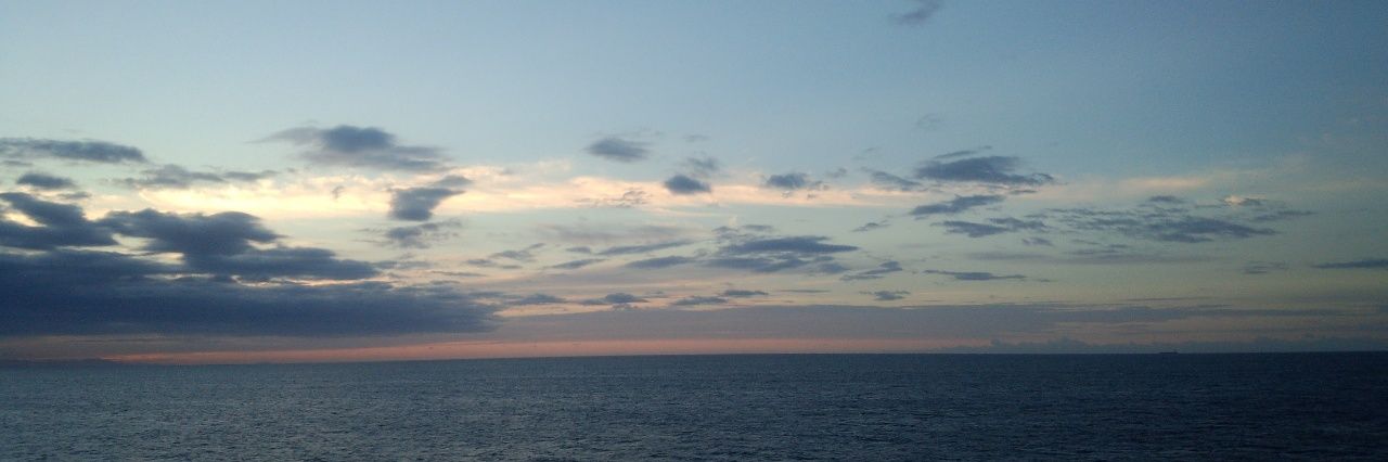 IRON_yellowtail's profile banner image