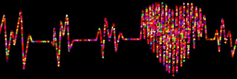 D@v1d Brewitz banner