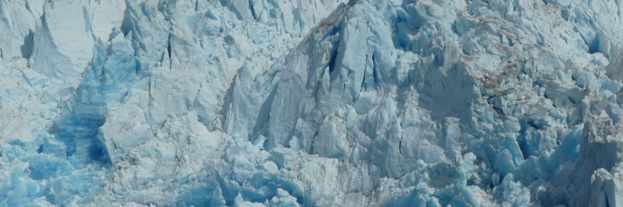 Andrew Gallacher banner