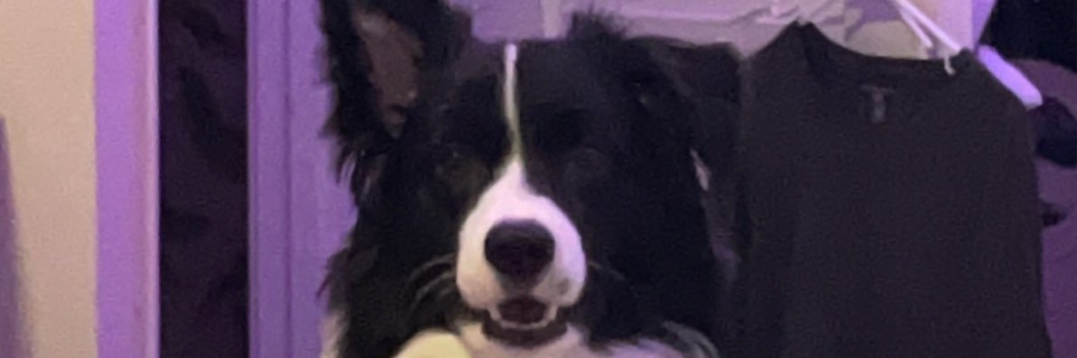 WegmanColin's profile banner image