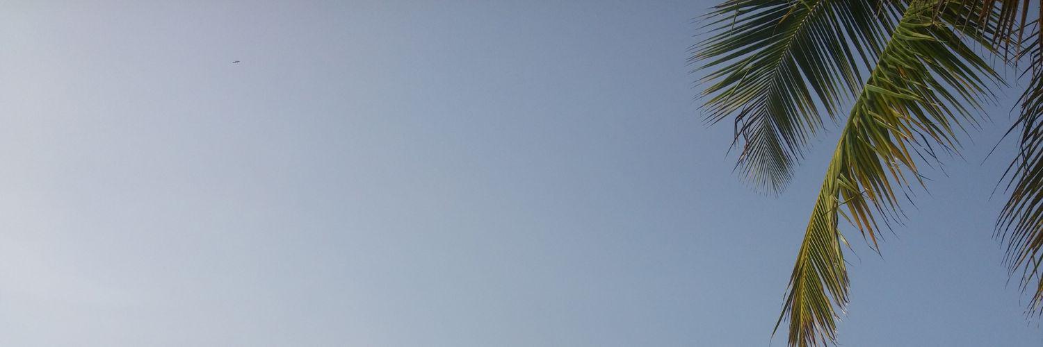 MsFGLP's profile banner image