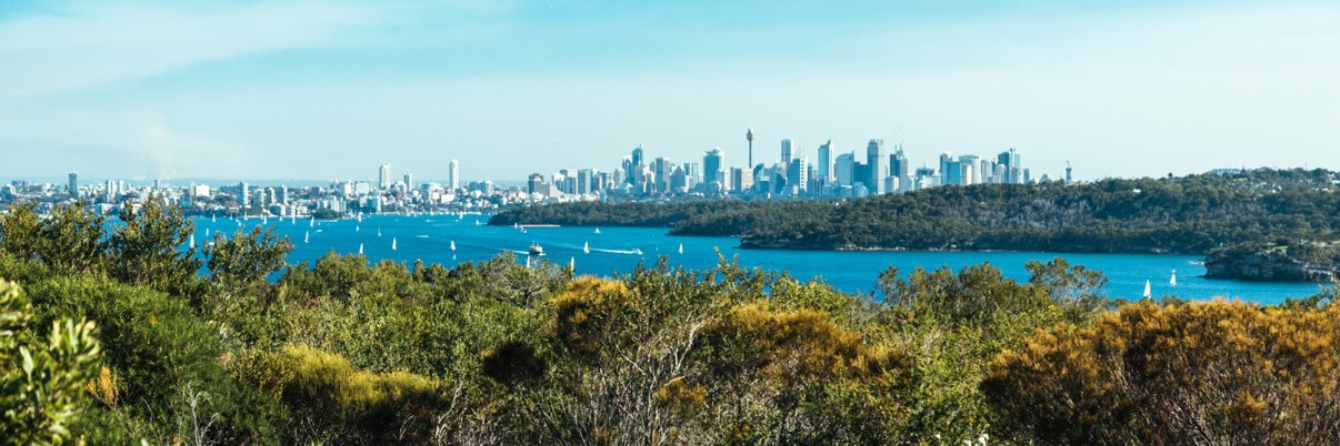 MattClarkeNZ's profile banner image