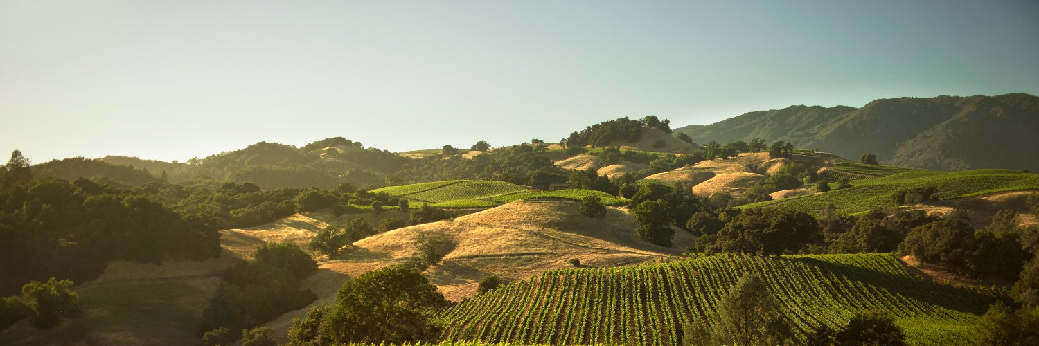 Jackson Family Wines banner