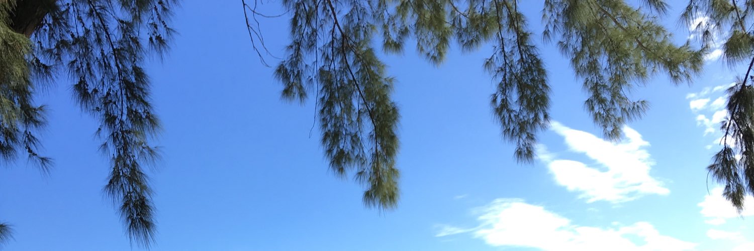 IngarmanJust's profile banner image