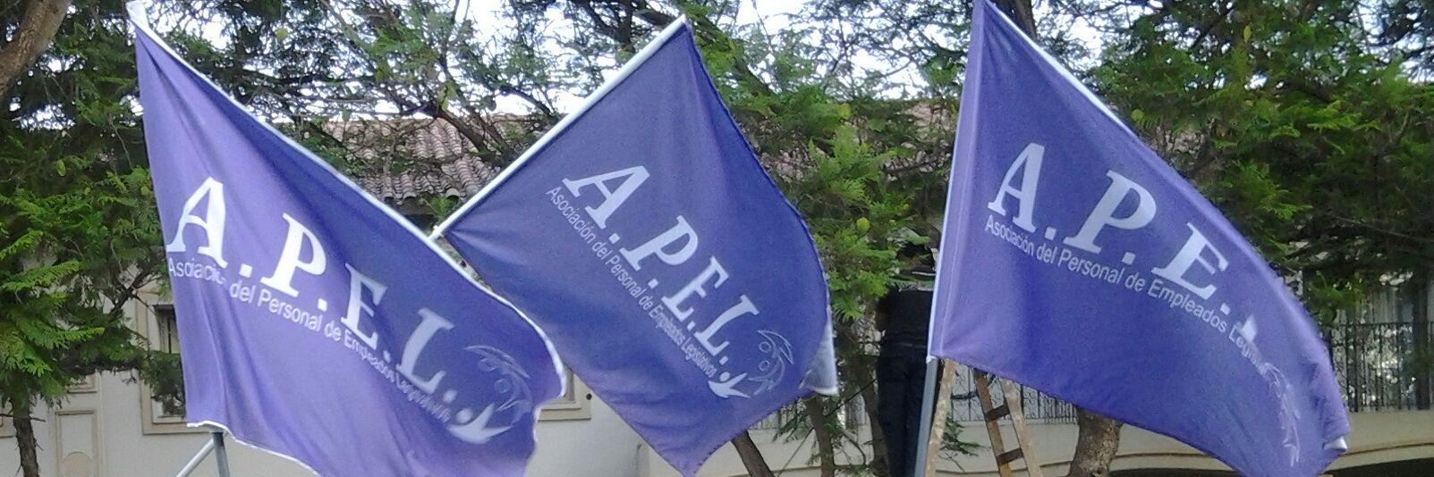 PrensaApel's profile banner image