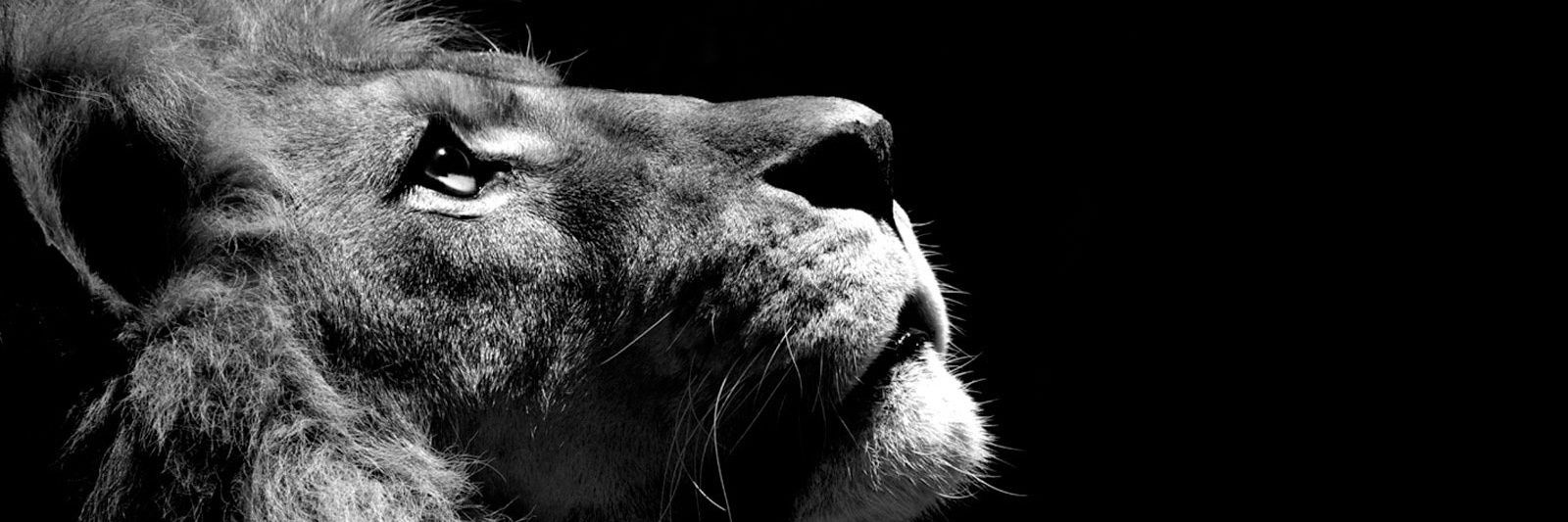 IAm_BigYoungsta's profile banner image