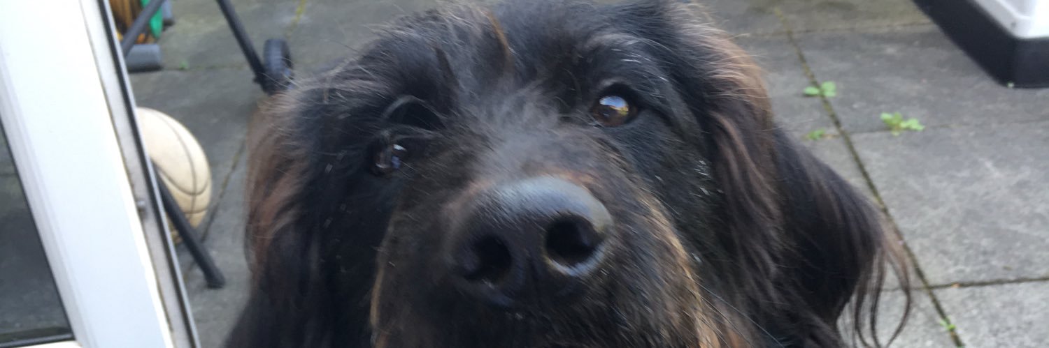 RuthCliff3's profile banner image