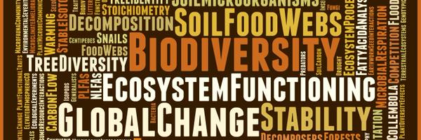 EisenhauerLab Profile Banner