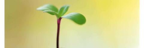 laila_abraham's profile banner image