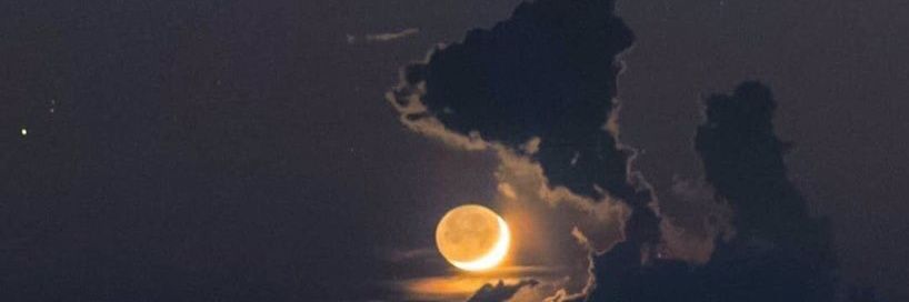 ixoraas's profile banner image