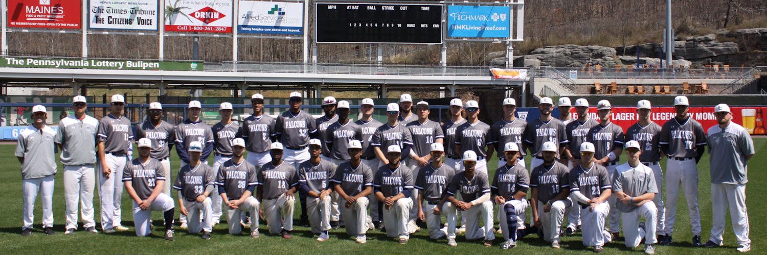 Lackawanna Baseball's banner