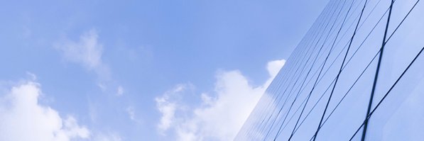 White Wolf Capital's banner