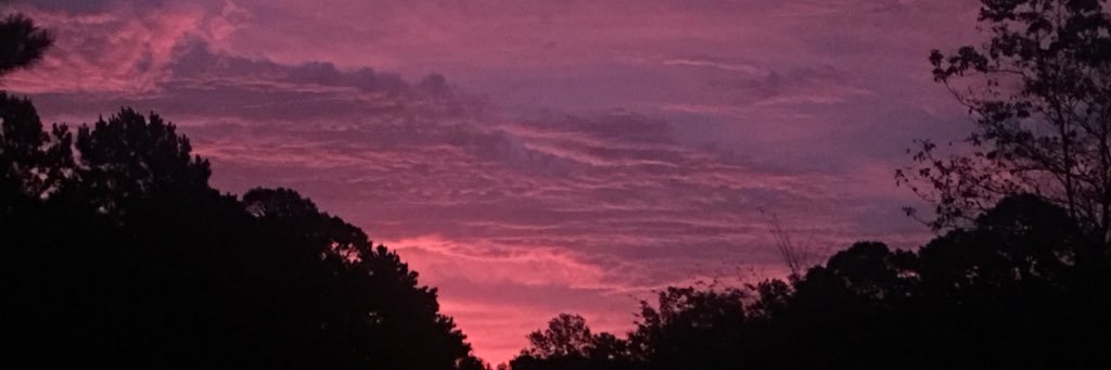 AnsleaDowden's profile banner image