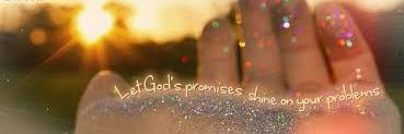 Anamta_moree's profile banner image