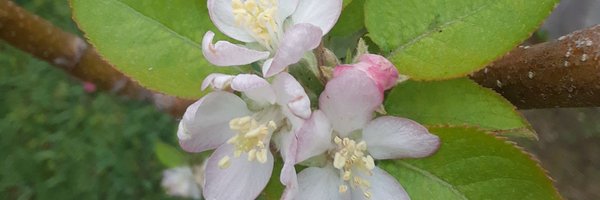 tatlinl Profile Banner