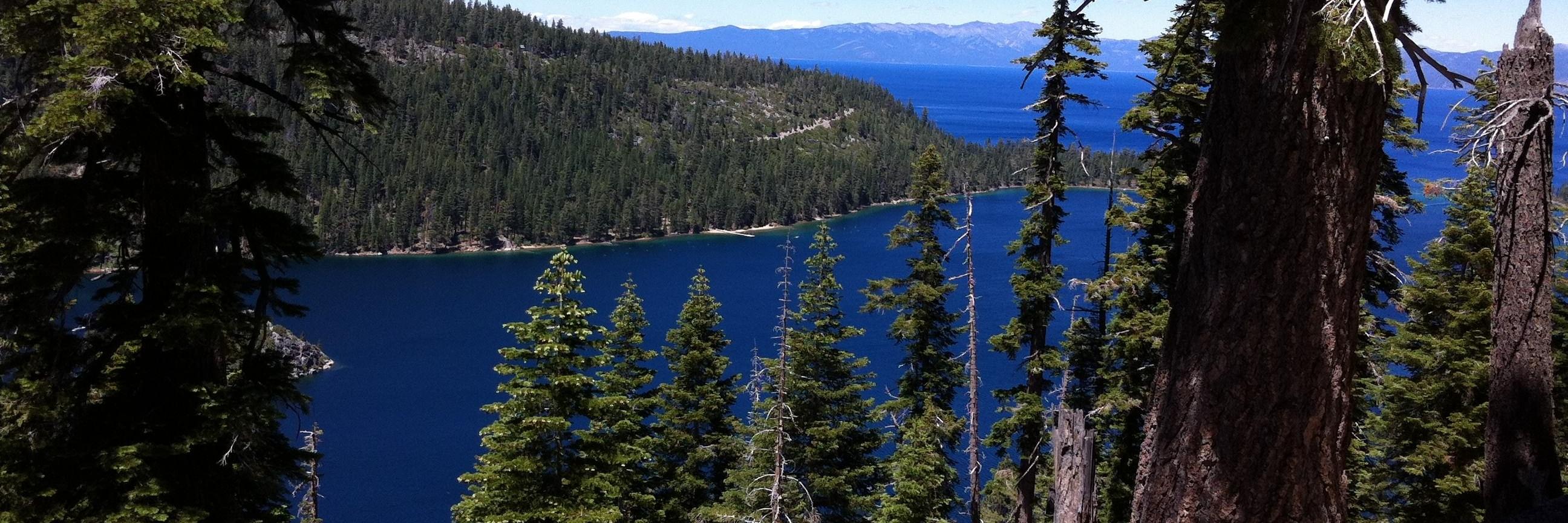 CalSportsMan's profile banner image