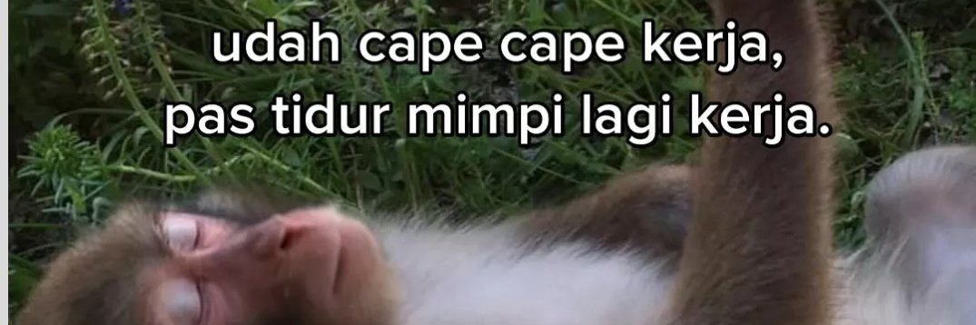 TimpaDaily's profile banner image