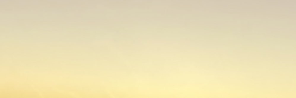 user275033328 banner