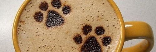 PupsNCoffee's profile banner image