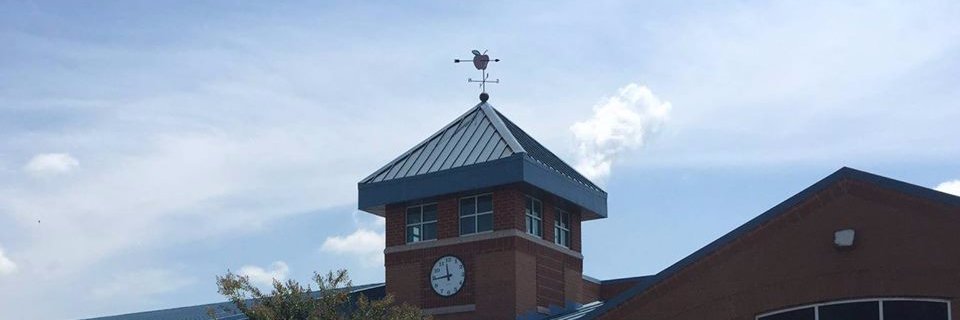 Lake Forest Elem. banner