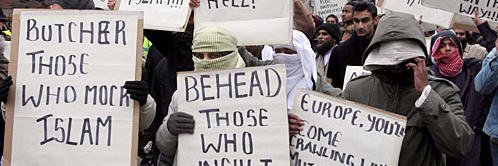 HashtagSJW's profile banner image