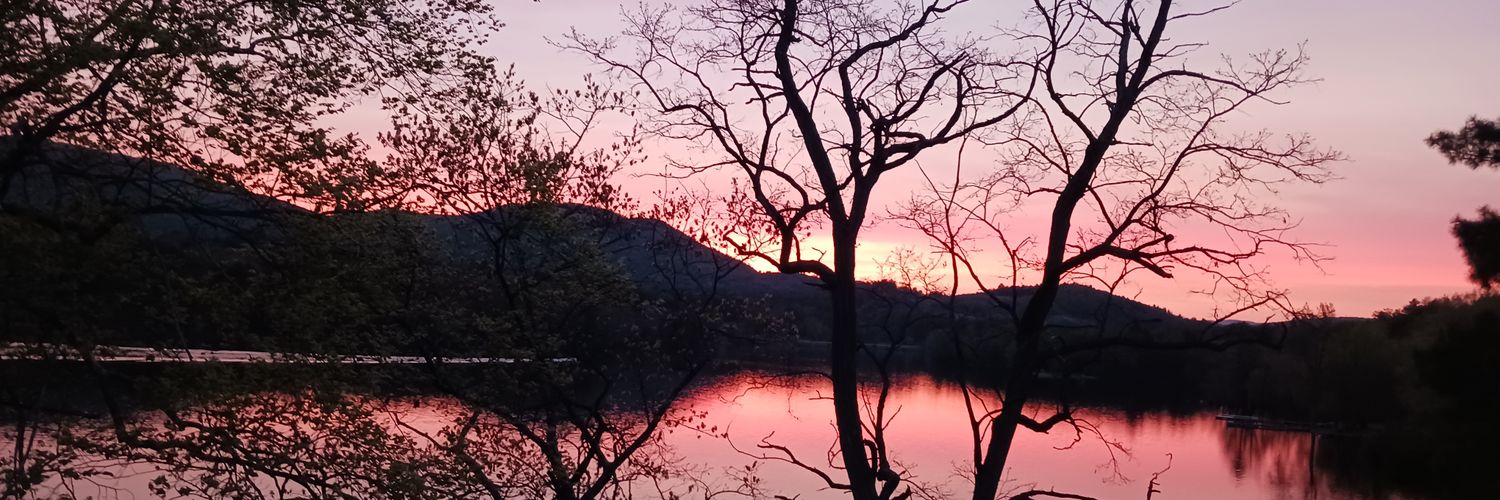 WretchedIsaiah's profile banner image