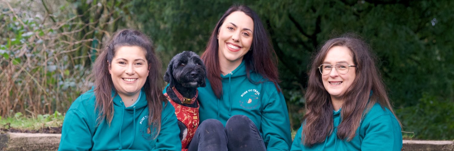 Nose to Trail banner