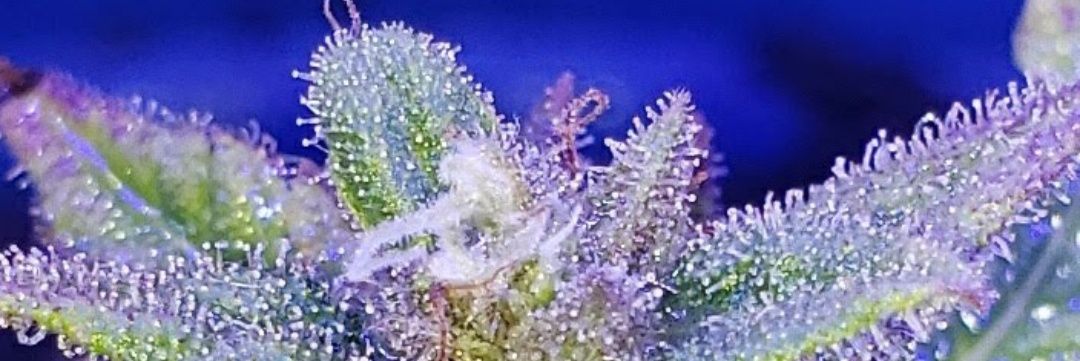 jtepper2224's profile banner image