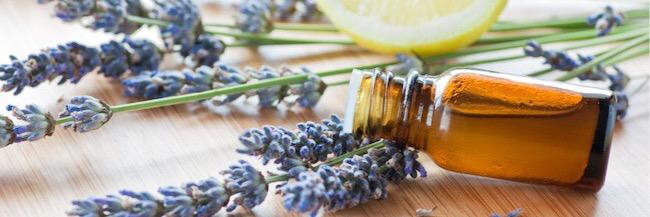 essentialoils10's profile banner image