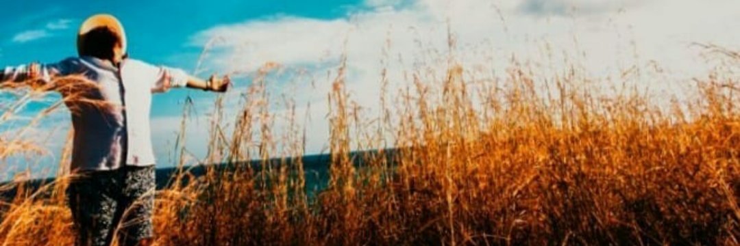 davidraul01's profile banner image