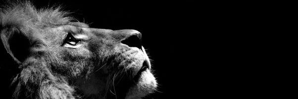 RGaDz's profile banner image