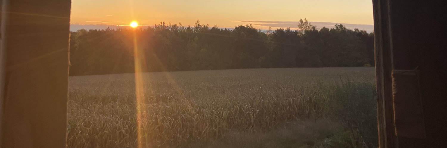 10_willmeyer's profile banner image