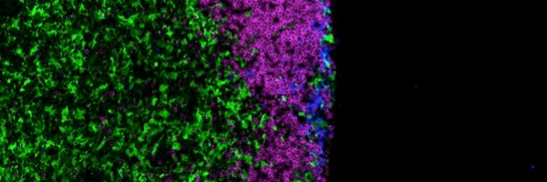 Satpathology Profile Banner