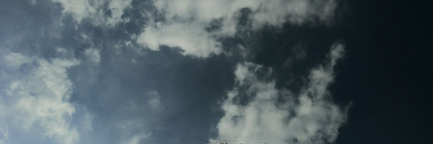 _SoyMoni's profile banner image