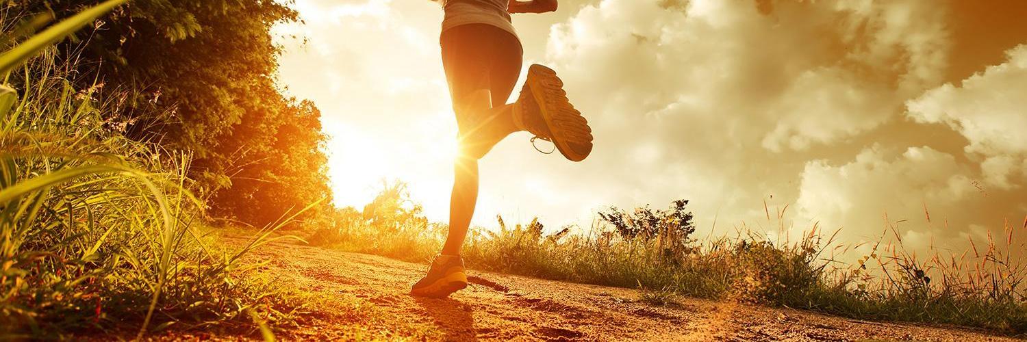 LCFalconXC's profile banner image