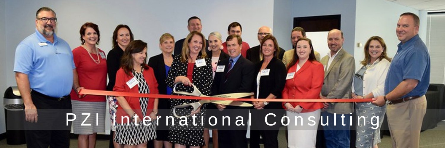 PZI_Consulting's profile banner image