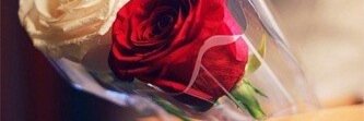 Gala_703's profile banner image