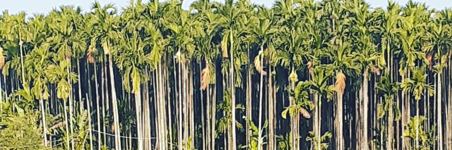 sagarkrisna's profile banner image