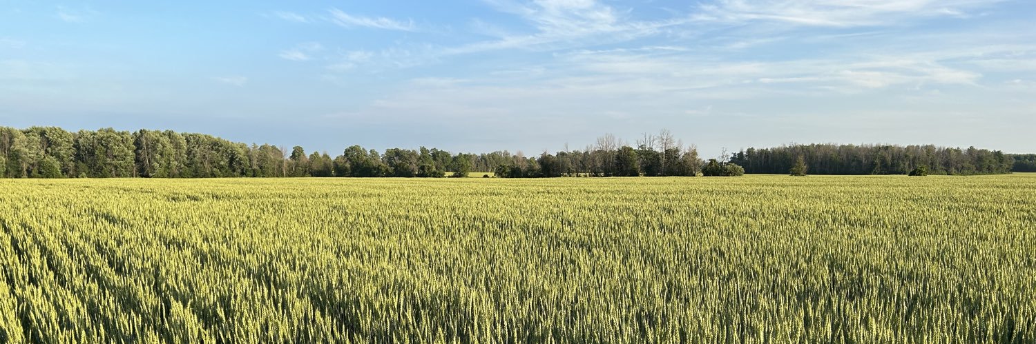 Andrew Elgersma banner