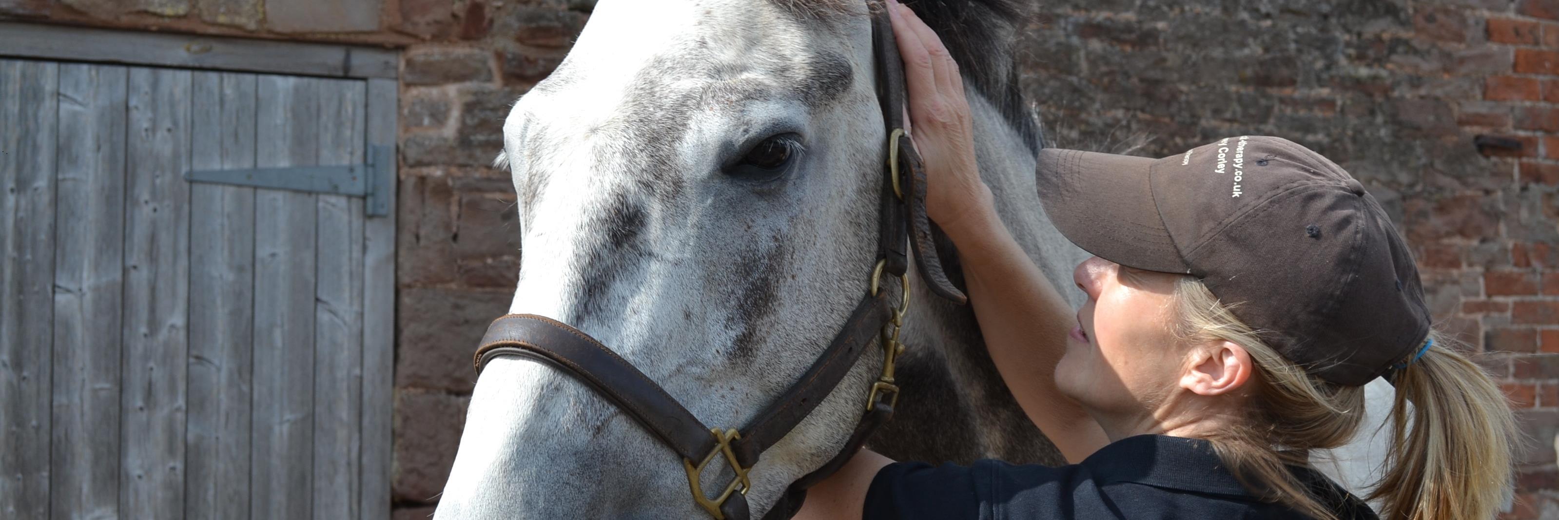 Pauline Hughes banner