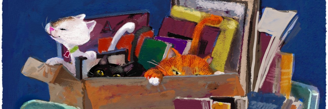 Berislav Blagojević banner