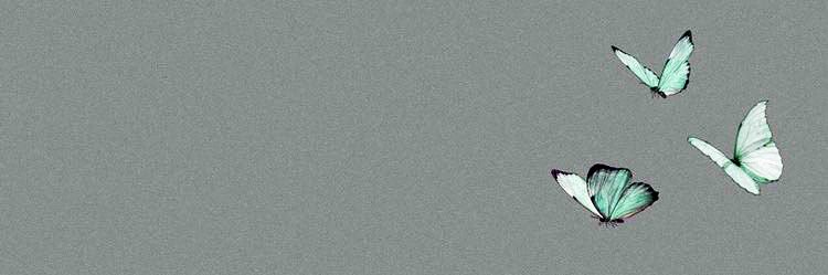 twoshotsofleah's profile banner image