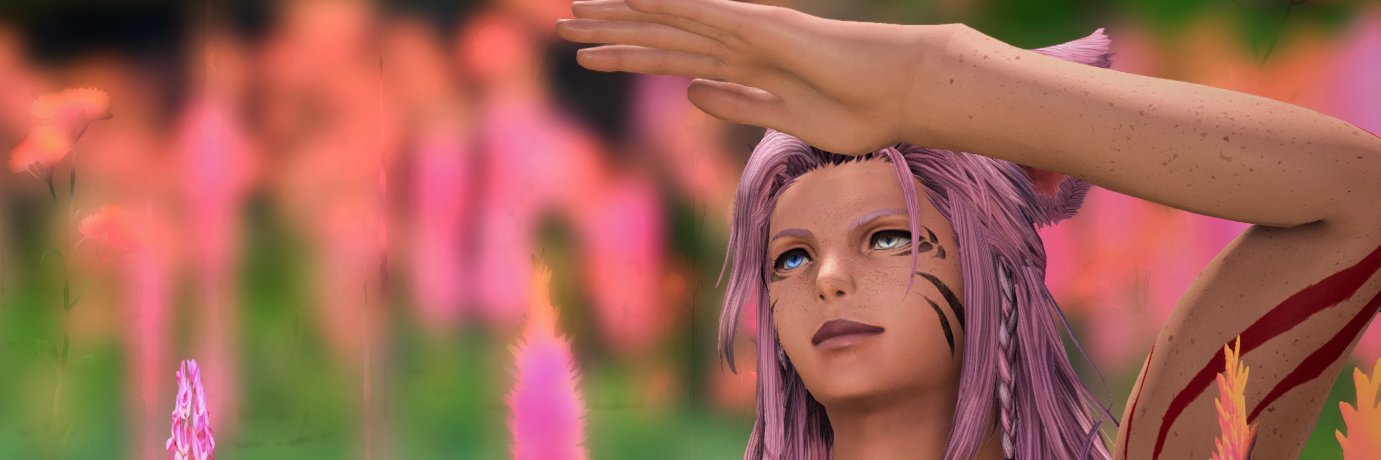 SoleilCrows's profile banner image