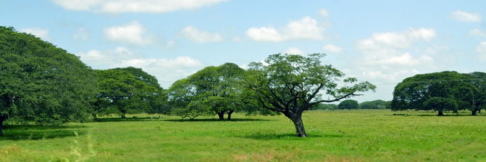 MonagasECO's profile banner image
